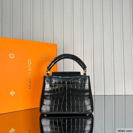 Louis Vuitton Capucines Mini