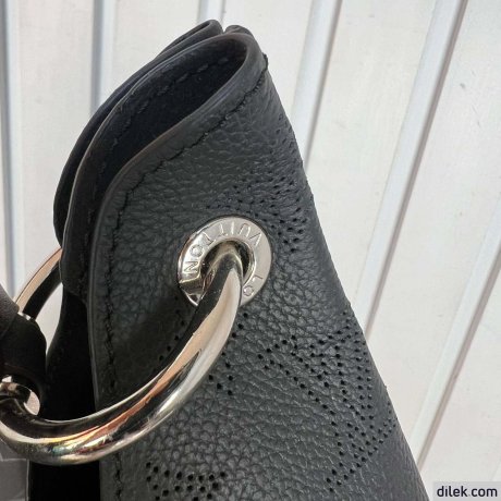 Louis Vuitton Carmel