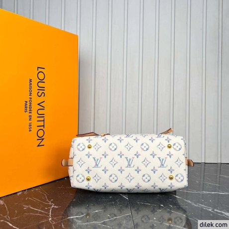 Louis Vuitton CarryAll MM Monogram