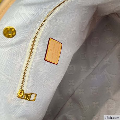 Louis Vuitton CarryAll MM Monogram