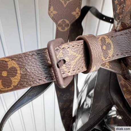 Louis Vuitton Christopher MM Backpack