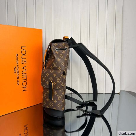 Louis Vuitton Christopher PM
