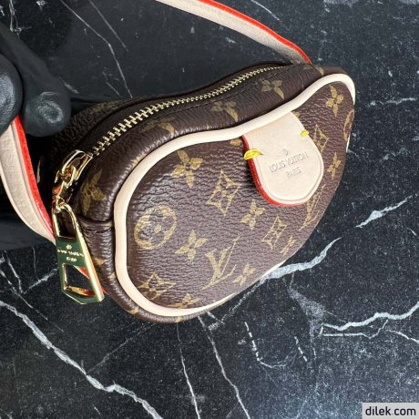 Louis Vuitton Croissant MM