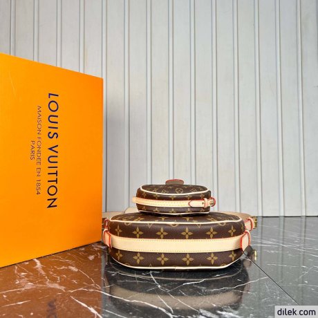 Louis Vuitton Croissant MM