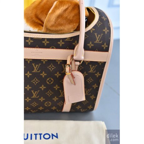 Louis Vuitton Dog Bag