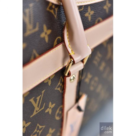 Louis Vuitton Dog Bag