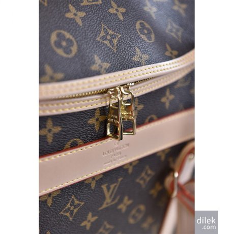 Louis Vuitton Dog Bag