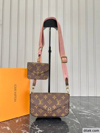 Louis Vuitton Felicie Strap & Go
