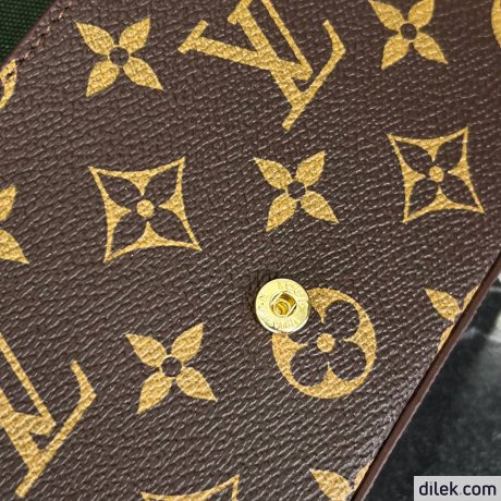 Louis Vuitton Felicie Strap & Go