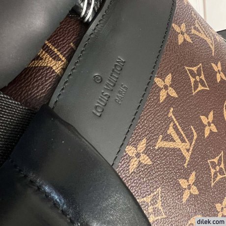 Louis Vuitton Josh Backpack