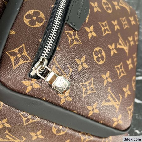 Louis Vuitton Josh Backpack