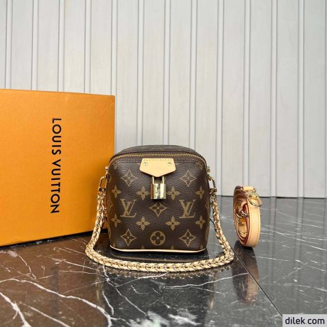 Louis Vuitton Just In Case