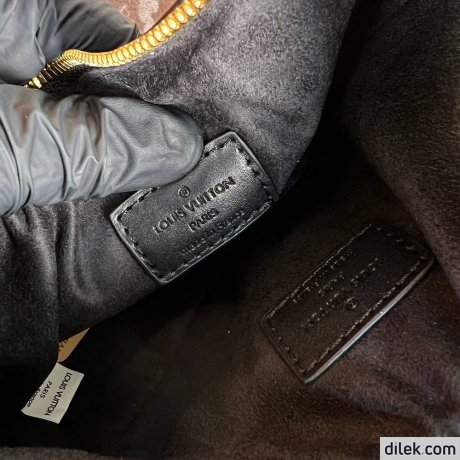Louis Vuitton Loop