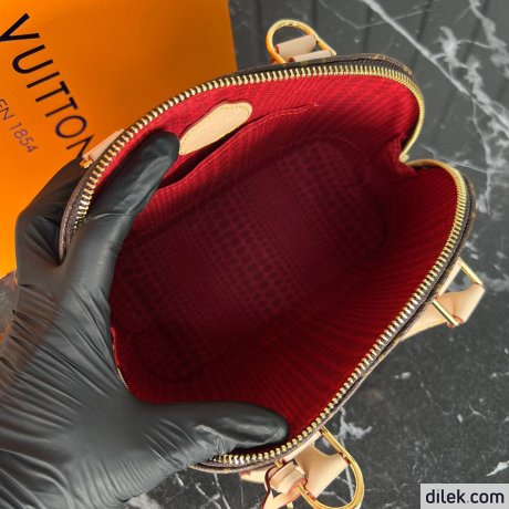 Louis Vuitton LV x YK Alma BB