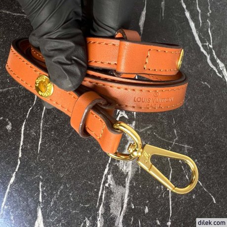Louis Vuitton Mini Dauphine