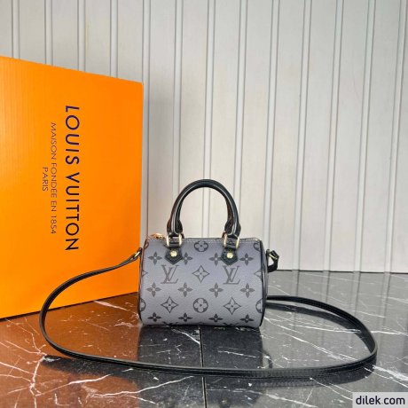 Louis Vuitton Nano Speedy Monogram