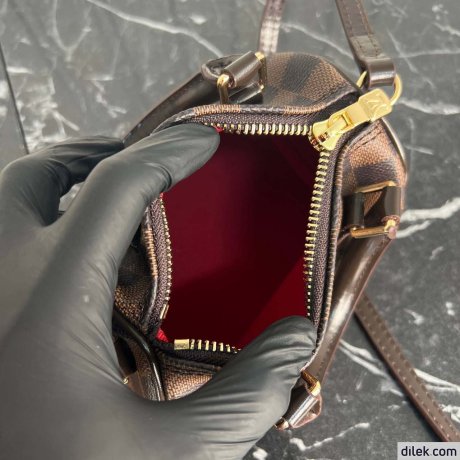 Louis Vuitton Nano Speedy Monogram