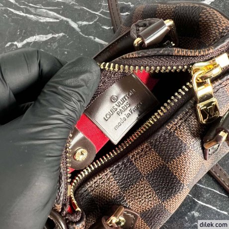 Louis Vuitton Nano Speedy Monogram