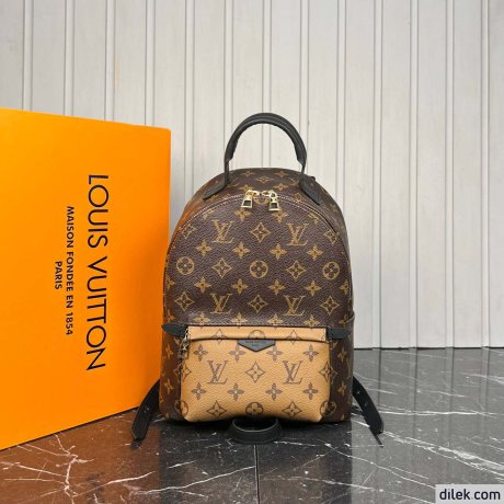 Louis Vuitton Palm Springs