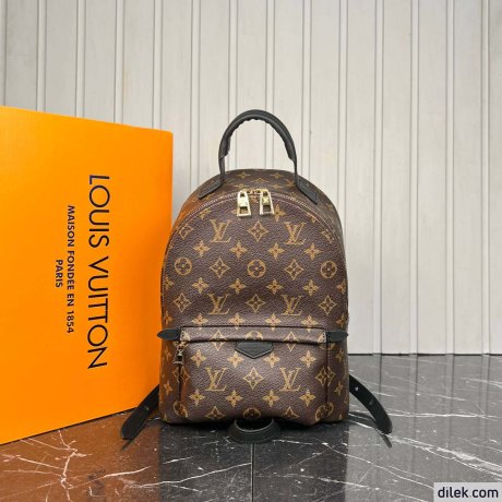 Louis Vuitton Palm Springs
