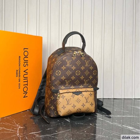 Louis Vuitton Palm Springs