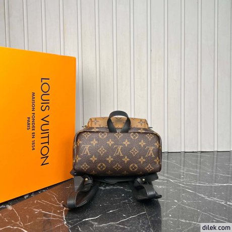 Louis Vuitton Palm Springs