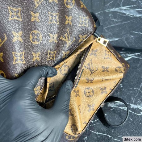 Louis Vuitton Palm Springs