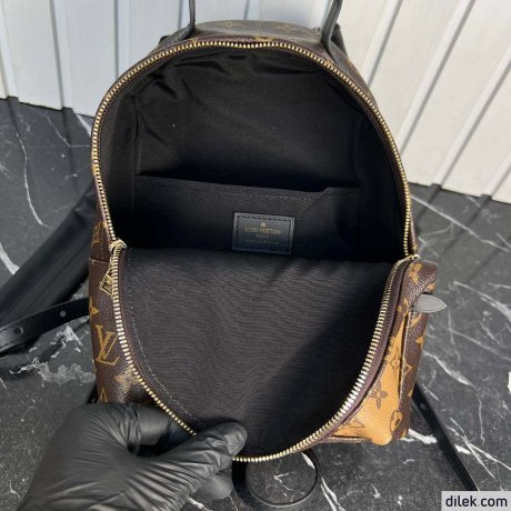 Louis Vuitton Palm Springs