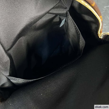 Louis Vuitton Palm Springs