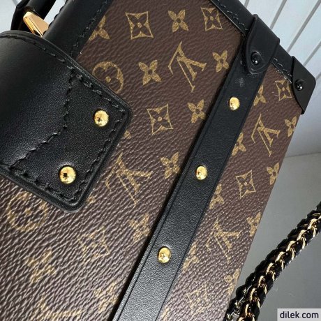 Louis Vuitton Petite Malle Monogram