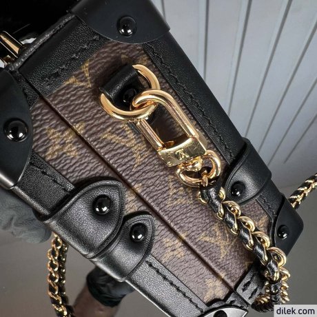 Louis Vuitton Petite Malle Monogram