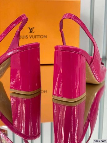 Louis Vuitton Shake Pumps
