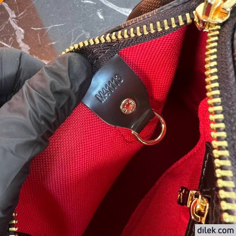 Louis Vuitton Speedy 25