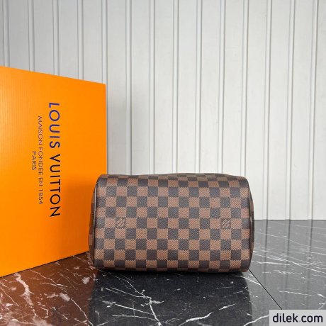 Louis Vuitton Speedy 25