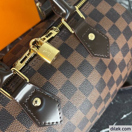 Louis Vuitton Speedy 25