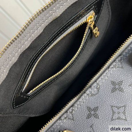 Louis Vuitton Speedy 35