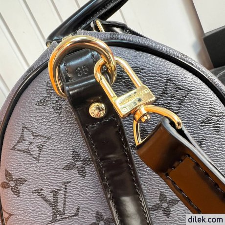 Louis Vuitton Speedy 35