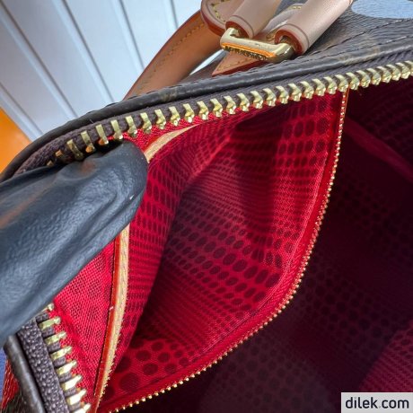 Louis Vuitton Speedy Bandouliere 25