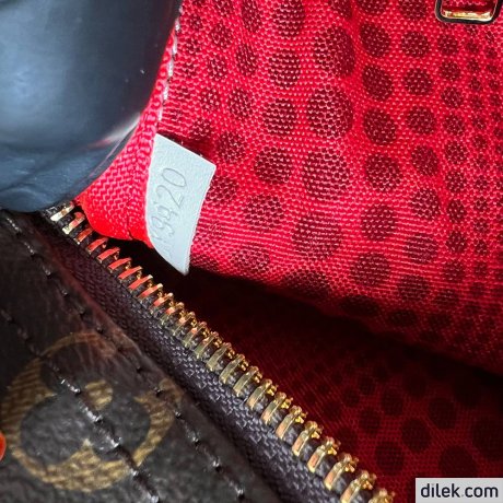 Louis Vuitton Speedy Bandouliere 25