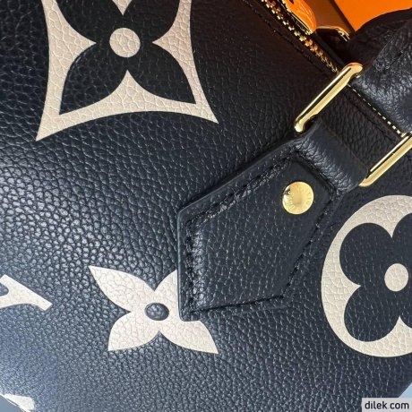 Louis Vuitton Speedy Bandouliere 25 Bicolor Monogram