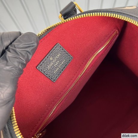 Louis Vuitton Speedy Bandouliere 25 Bicolor Monogram