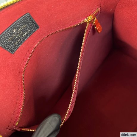 Louis Vuitton Speedy Bandouliere 25 Bicolor Monogram