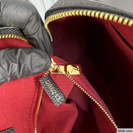 Louis Vuitton Speedy Bandouliere 25 Bicolor Monogram