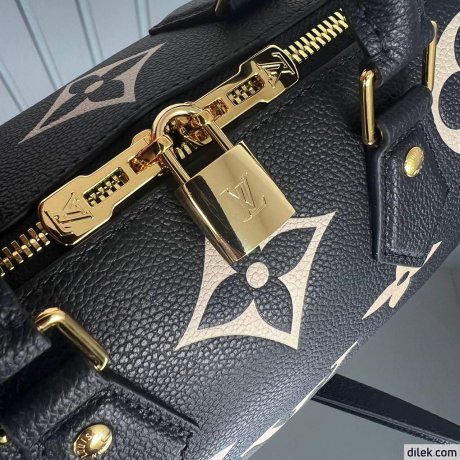 Louis Vuitton Speedy Bandouliere 25 Bicolor Monogram