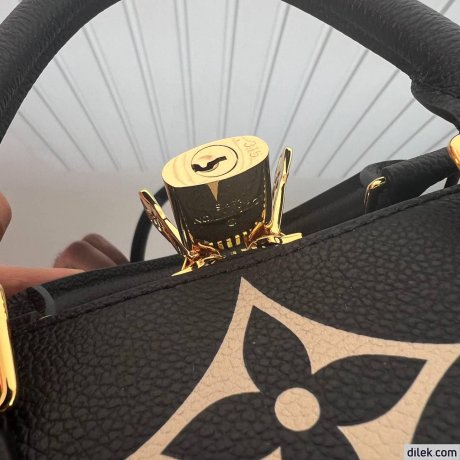 Louis Vuitton Speedy Bandouliere 25 Bicolor Monogram