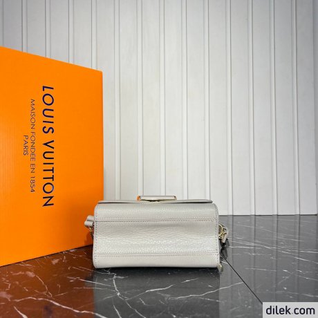 Louis Vuitton Twist PM