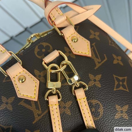 Louis Vuitton Alma Backpack