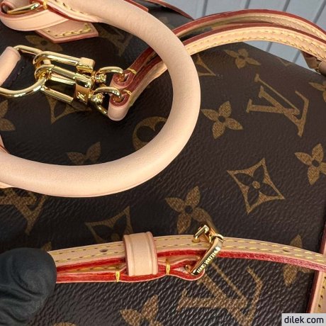 Louis Vuitton Alma Backpack