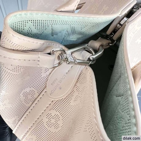 Louis Vuitton Blossom PM