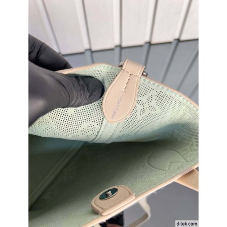 Louis Vuitton Blossom PM